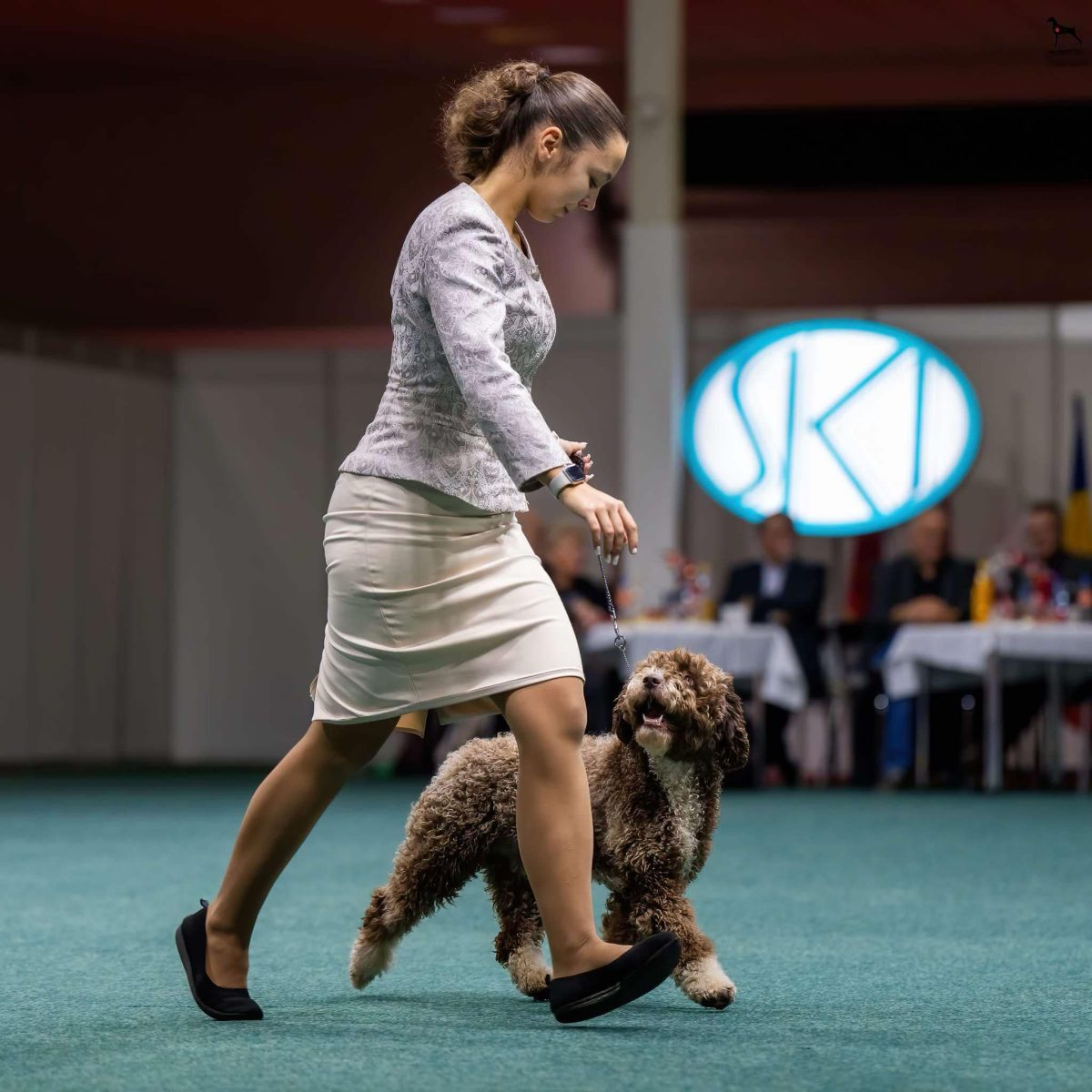 mouvement exposition canine